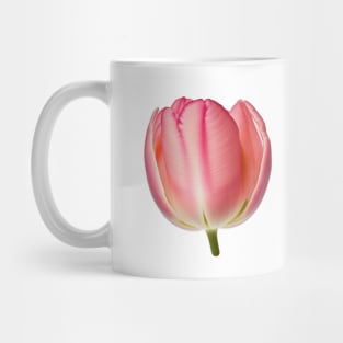 Pink Tulip flower art print Mug